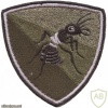 Slovenia Army 670th Command Logistics Battalion patch, subdued