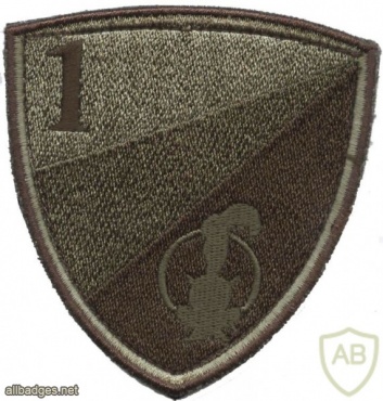 Slovenia army 1st brigade patch, subdued img48806