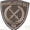 Slovenia army command of forces patch, subdued