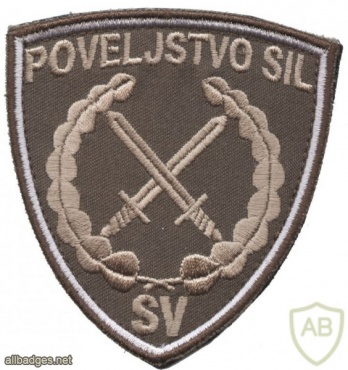 Slovenia army command of forces patch, subdued img48801