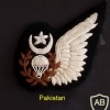 PAKISTAN ARMY PARATROOPER INSTRUCTOR bullion badge