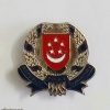 Singapore Police cap badge  img48902