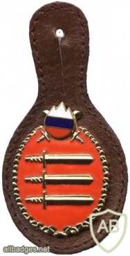 Slovenian army - commander of the company pocket badge img49007