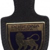Slovenian police - special unit medic pocket badge