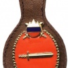 Slovenian army - chief of department pocket badge (badge with glued logo of slovenia army logo) 