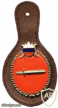 Slovenian army - chief of department pocket badge (badge with glued logo of slovenia army logo)  img49009