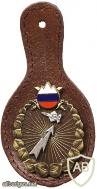 Slovenian army - Anti Aircraft pocket badge, (second version) img49039