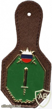 Slovenian army - member of staff  pocket badge, (first production) badge in one piece with slovenian army logo img49019