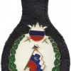 Slovenian army - advisor of the supreme commanderpribočnik vrhovnega poveljnika (prva izvedba), (honor unit - first version)