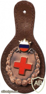 Slovenian army - nurse pocket badge img49041