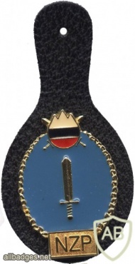 Slovenian army - battalion for airspace control pocket badge img49028