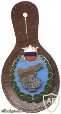 Slovenian army - battalion for airspace control pocket badge img49045