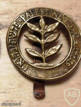 סמל הרגימנט הארצישראלי בצבר הבריטי img49091