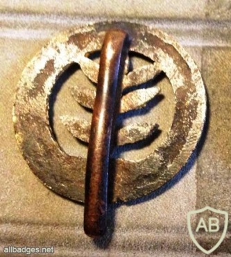 סמל הרגימנט הארצישראלי בצבר הבריטי img49092