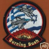 Burning Bush 2011 img49455
