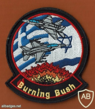 Burning Bush 2011 img49455