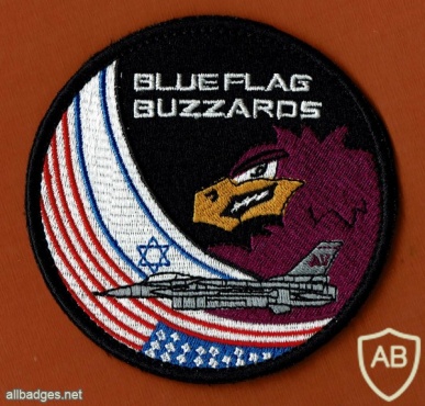 International Co-operation BLUE FLAG BUZZARDS- 2017 img49528