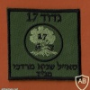 גדוד 17 סא"ל  שגיא מרדכי מג"ד  אריות הגולן - גדוד- 17