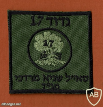 גדוד 17 סא"ל  שגיא מרדכי מג"ד  אריות הגולן - גדוד- 17 img49579
