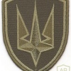 Ukraine National Guard 4th operational brigade patch, subdued img49746