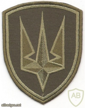 Ukraine National Guard 4th operational brigade patch, subdued img49746