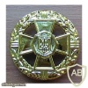Ukraine National Guard beret badge img49742