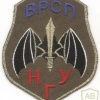 Ukraine National Guard Special Purpose Company patch