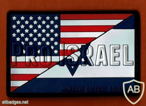 שילוב דגל ישראל ודגל ארה"ב img49975