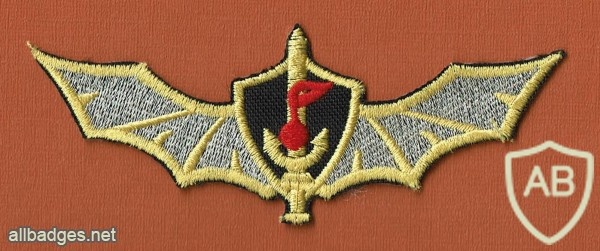 סמל חזה אות לוחם קומנדו ימי שייטת- 13 בוליון ( שזירת חוטי כסף ) img50038