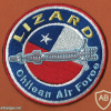 LIZARD ( לטאה ) פצצה חכמה מונחת לייזר חיל האויר של צ'ילה