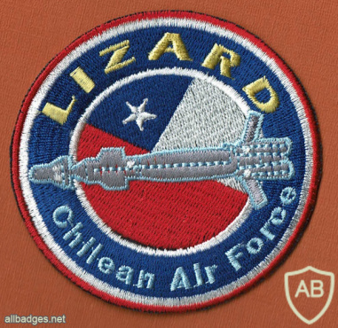 LIZARD ( לטאה ) פצצה חכמה מונחת לייזר חיל האויר של צ'ילה img50780
