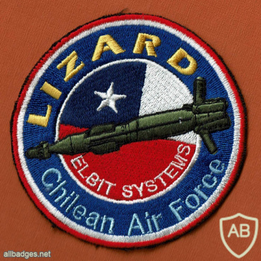 LIZARD ( לטאה ) פצצה חכמה מונחת לייזר חיל האויר של צ'ילה img50779