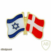 דגל ישראל ודגל דנמרק img50814