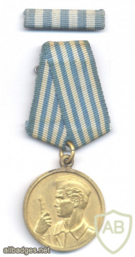 YUGOSLAVIA Medal for Bravery ("Za Hrabrost") + ribbon img51227