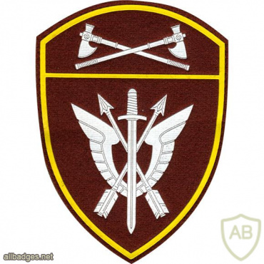Volga Command SOBR units patch img51522