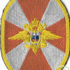 National Guard general patch, transitional type