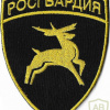 Volga Command patch