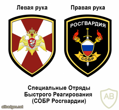 National Guards SOBR units patch, transitional type img51499