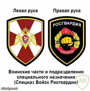 National Guard Spetznaz units patch img51484
