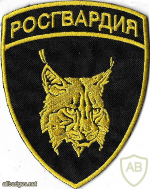 National Guard SOBR patch img51456