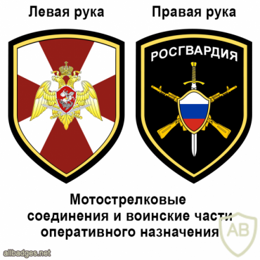 National Guard Motorized and Operative units patch img51494