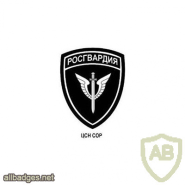 National Guard Rapid Reaction Forces SF Center patch img51466