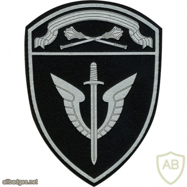 Central Command OMON units patch img51618