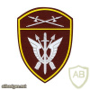Ural Command SOBR units patch img51609