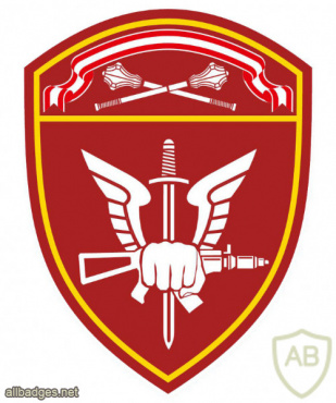 Central Command Spetznaz / OMON / SOBR units patch img51626