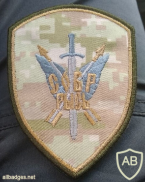 Central Command SOBR unit Rys' patch, desert cammo img51664