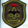 Ural Command 138th Regiment Special Purpose Company Lesnoi patch
