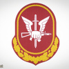 National Guard Special Forces Command patch img51683