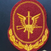 National Guard Special Forces Command patch