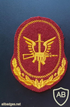 National Guard Special Forces Command patch img51682